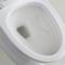 Assoalho - montou toaletes alongados do banheiro com linhas e perfil baixo limpos