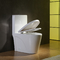 Bacia alongada material cerâmica toalete de Cupc de 1 parte com macio - Seat próximo