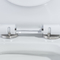 Toalete alongado nivelado duplo do Odm com padrão americano dos furos laterais