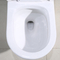 O 1 um toalete nivelado duplo branco S da altura do conforto da parte prende 300mm 10&quot; Roughing em