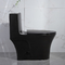 Toaletes duplos Matte Black Csa Toilet With 10,5 dos banheiros da válvula nivelada do sifão áspero no preto