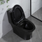 Toaletes duplos Matte Black Csa Toilet With 10,5 dos banheiros da válvula nivelada do sifão áspero no preto