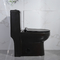 O Duplo-resplendor moderno dos toaletes dos banheiros prolongou o toalete 1-Piece com Macio-fechamento de Seat