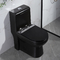 O Duplo-resplendor moderno dos toaletes dos banheiros prolongou o toalete 1-Piece com Macio-fechamento de Seat