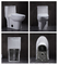 Toalete padrão americano da parte de Cosette Dual Flush Elongated One no branco Gpf 1,28