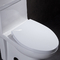 10 polegadas áspero em Ada Comfort Height Toilet For desabilitaram o rv com resplendor do poder