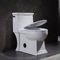 O estojo compacto cerâmico do armário de água do banheiro de Ada One Piece Skirted Toilet prolongou-se