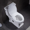 O estojo compacto cerâmico do armário de água do banheiro de Ada One Piece Skirted Toilet prolongou-se
