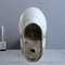 Estojo compacto alongado Ada Toilet 19 polegadas de altura padrão do sifão poderoso do perfurador