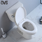 O melhor banheiro de Ada Compliant Two-Piece Toilet In com sistema nivelado poderoso