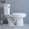 O melhor banheiro de Ada Compliant Two-Piece Toilet In com sistema nivelado poderoso