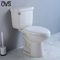 O banheiro de duas partes do toalete do Washdown da porcelana integrou o armário de água do sifão