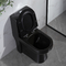 Círculo cerâmico alongado de Gpf Cupc do toalete 1,6 da parte de Matt Black Dual Flush One