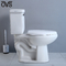 Enfermos ambulante Ada Comfort Height Toilet separação de um Roostic de 18&quot; 19 polegadas