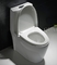 Um toalete alongado nivelado superior da parte com 11 polegadas áspero na tampa de Seat da diminuição