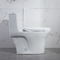 Toaletes públicos Iapmo Ada American Standard Elongated Toilet dos banheiros um armário de água da parte