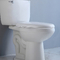 O jato do sifão parede de 2 partes pendurou a cômoda de duas partes alta de 10 polegadas do toalete prolongada