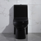 A uma parte preta prolongou o sifão Jet Toilet Flushing Systems de Gpf dos toaletes 1,6